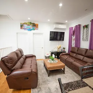 Homestay Floor With Skylight Brooklyn