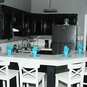 Apartment Plush Spacious 1 Bedroom Apt Williamsburg